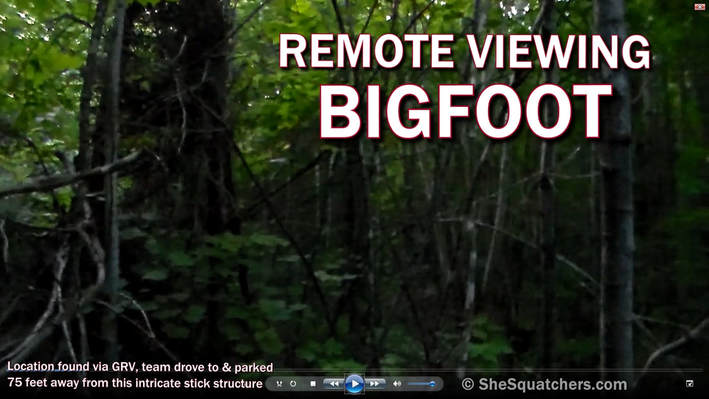 Remote Viewing Bigfoot - Intuitive Advantage - Geographic Remote Viewing finds intricate stick structure - SheSquatchers - All Female Bigfoot Team in Midwest - SheSquatchers.com 