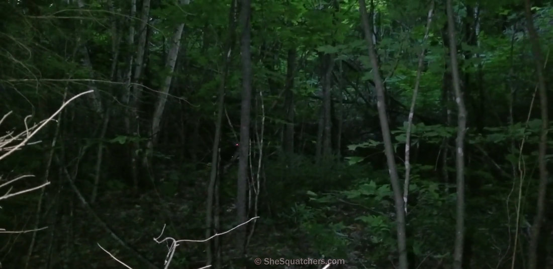 Remote Viewing Bigfoot - Intuitive Advantage - Geographic Remote Viewing finds intricate stick structure - SheSquatchers - All Female Bigfoot Team in Midwest - SheSquatchers.com
