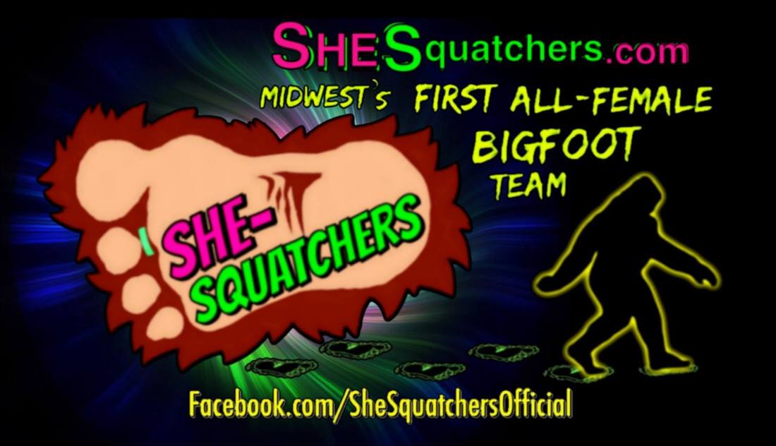 Remote Viewing Bigfoot - Intuitive Advantage - Geographic Remote Viewing finds intricate stick structure - SheSquatchers - All Female Bigfoot Team in Midwest - SheSquatchers.com
